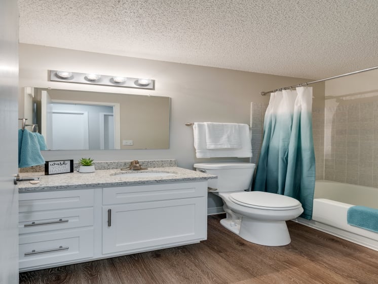 Bathroom With White Vanity & Shower With Tub